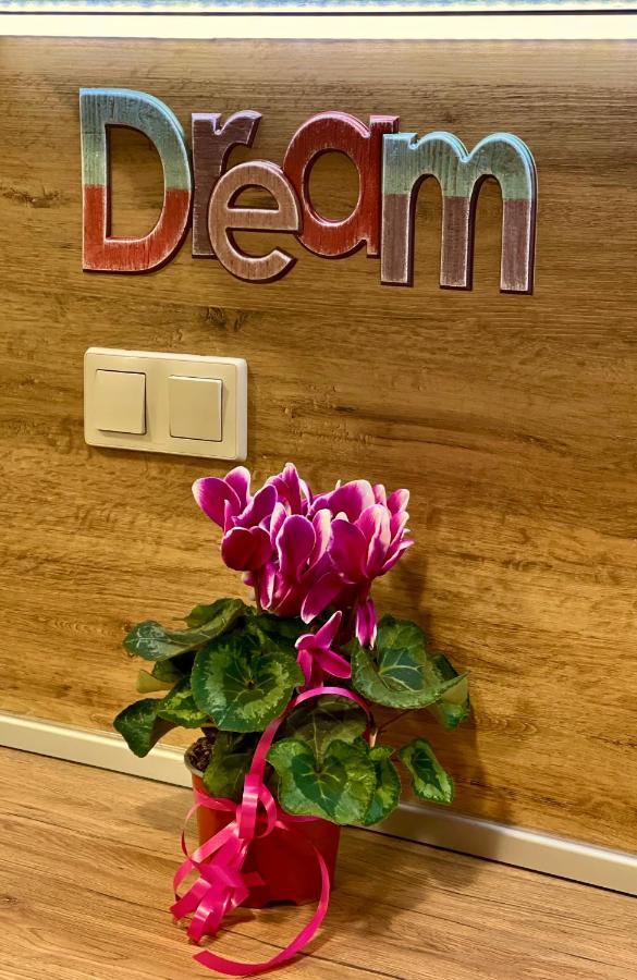 Pirin Dream View Apartments رازلوغ المظهر الخارجي الصورة