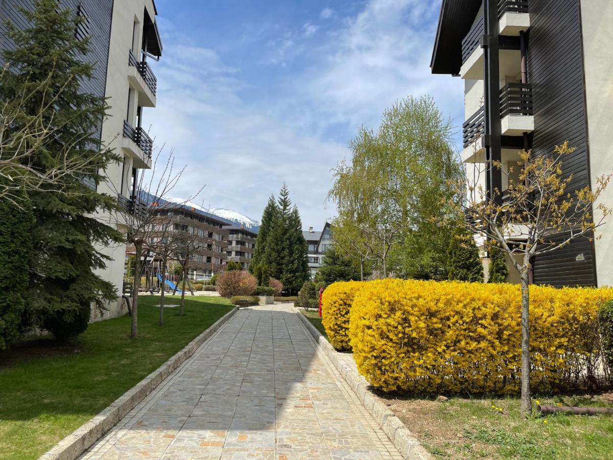 Pirin Dream View Apartments رازلوغ المظهر الخارجي الصورة