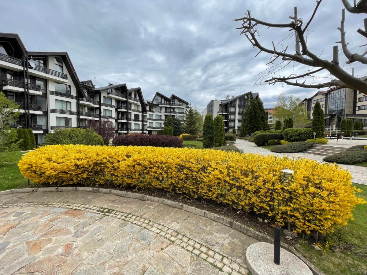 Pirin Dream View Apartments رازلوغ المظهر الخارجي الصورة